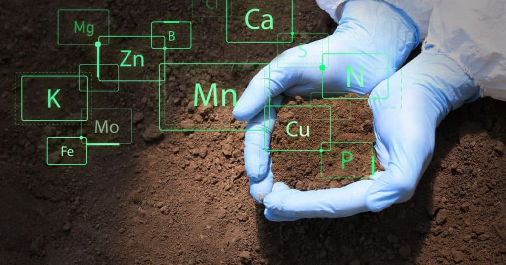 Soil Remediation & Testing in Peterborough